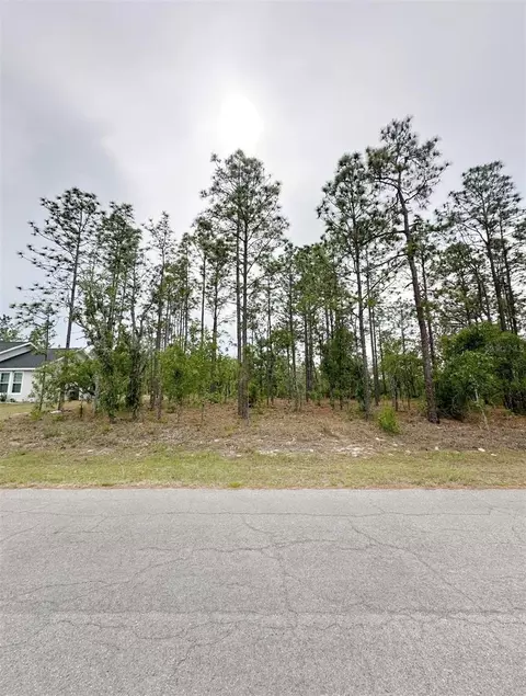 tbd NE 150th Lot 10 Ave, Williston, FL 32696 photo 4
