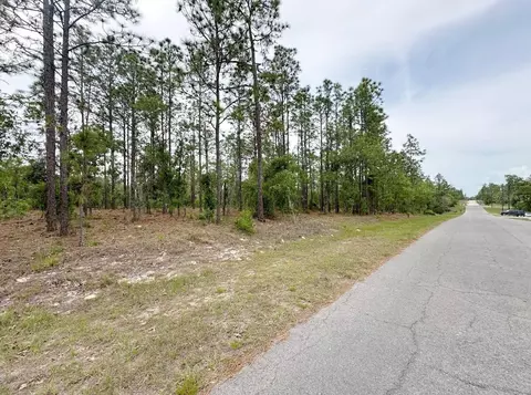 tbd NE 150th Lot 10 Ave, Williston, FL 32696 photo 2