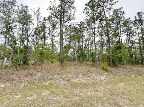 tbd NE 150th Lot 10 Ave, Williston, FL 32696 photo 3