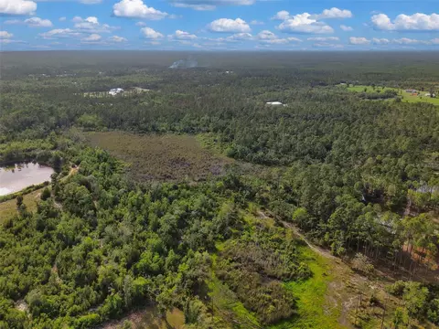 Savanna Lane, Steinhatchee, FL 32359 photo 10