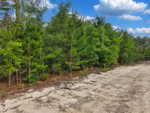 Savanna Lane, Steinhatchee, FL 32359 photo 6