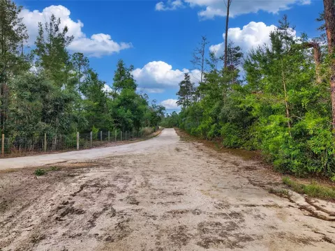 Savanna Lane, Steinhatchee, FL 32359 photo 4