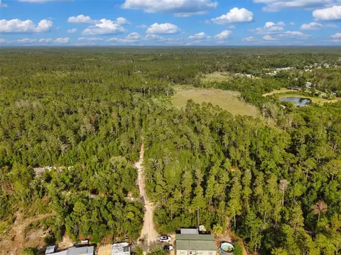 Savanna Lane, Steinhatchee, FL 32359 photo 13