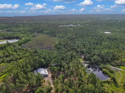 Savanna Lane, Steinhatchee, FL 32359 photo 9