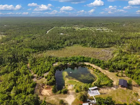 Savanna Lane, Steinhatchee, FL 32359 photo 11