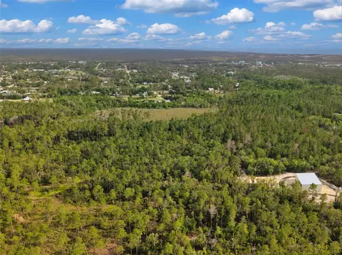 Savanna Lane, Steinhatchee, FL 32359 photo 2