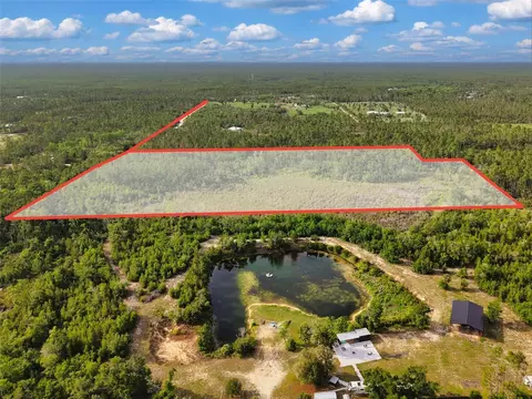 Savanna Lane, Steinhatchee, FL 32359 photo 15