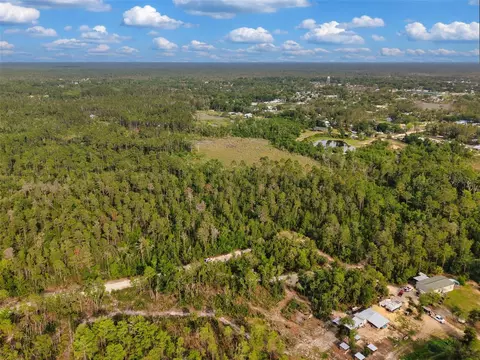 Savanna Lane, Steinhatchee, FL 32359 photo 7