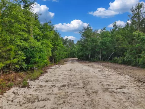 Savanna Lane, Steinhatchee, FL 32359 photo 5