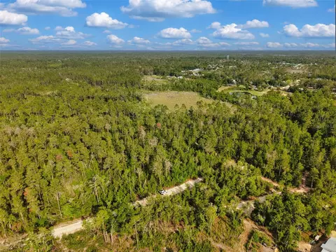 Savanna Lane, Steinhatchee, FL 32359 photo 14