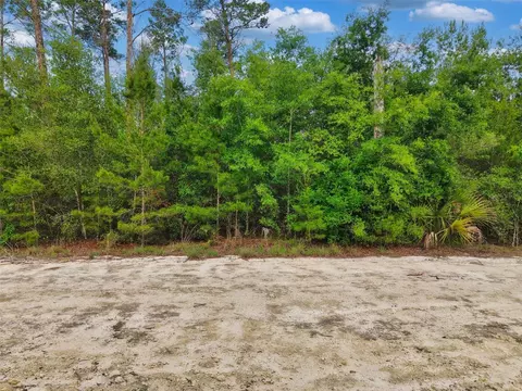 Savanna Lane, Steinhatchee, FL 32359 photo 3