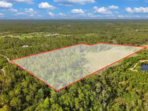 Savanna Lane, Steinhatchee, FL 32359 photo 16