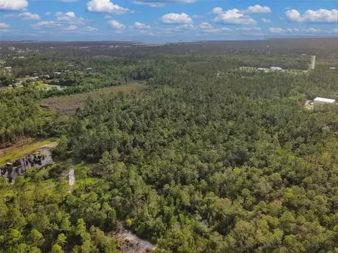 Savanna Lane, Steinhatchee, FL 32359 photo 8