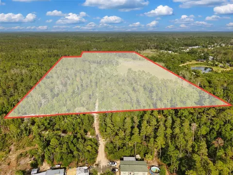 Savanna Lane, Steinhatchee, FL 32359