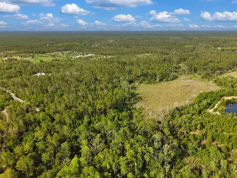 Savanna Lane, Steinhatchee, FL 32359 photo 12