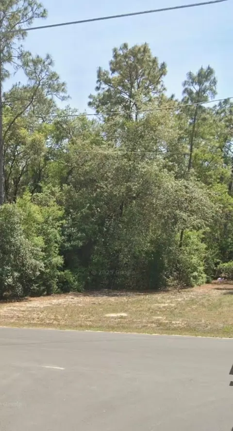 tbd Locust Trak 34472, Ocala, FL 34472