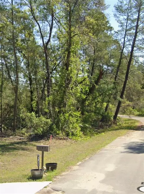 tbd Fisher Ct, Ocklawaha, FL 32179