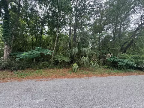 3462 E Michael St, Inverness, FL 34453