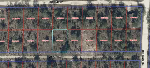 NE 61st Lane, Williston, FL 32696 photo 4