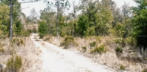 NE 61st Lane, Williston, FL 32696 photo 2
