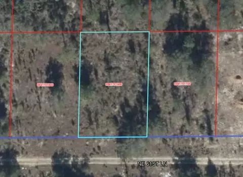 NE 61st Lane, Williston, FL 32696 photo 3