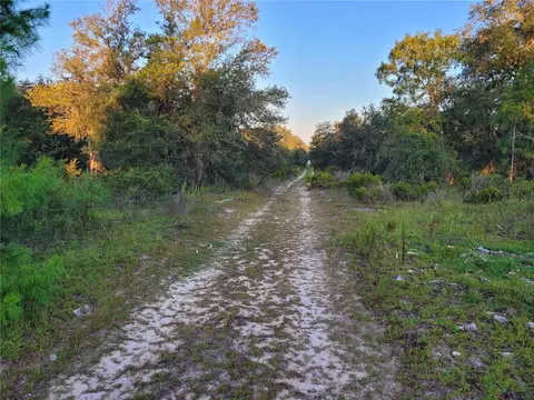 NE 61st Lane, Williston, FL 32696