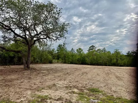 tbd NE 105th Ave, Bronson, FL 32621