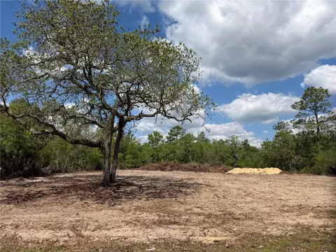 tbd NE 105th Ave, Bronson, FL 32621