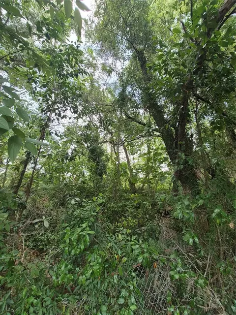 8748 NE Jacksonville Rd, Anthony, FL 32617