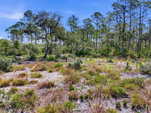tbd State Road 24, Cedar Key, FL 32625 photo 12