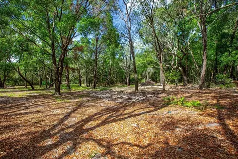 5350 SE 3rd Ln, Trenton, FL 32693