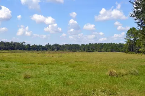 NW 202nd Street, High Springs, FL 32643