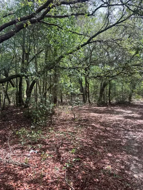 83 Rd Ln, Bronson, FL 32621