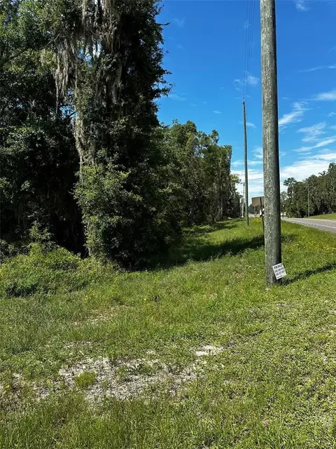 Thrasher Dr, Bronson, FL 32621