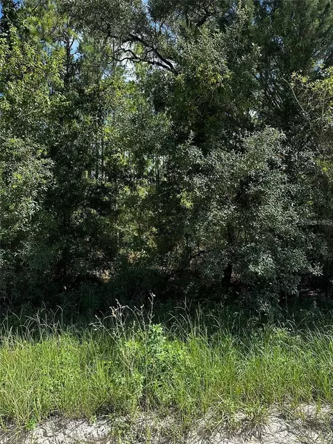 Nn SE 21st Place, Williston, FL 32696
