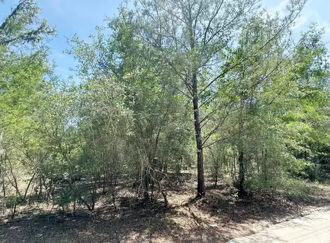 7930 NE 121st St, Bronson, FL 32621