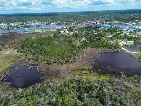 tbd SW 276 Ave, Steinhatchee, FL 32359 photo 4
