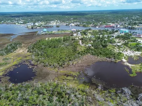 tbd SW 276 Ave, Steinhatchee, FL 32359 photo 5