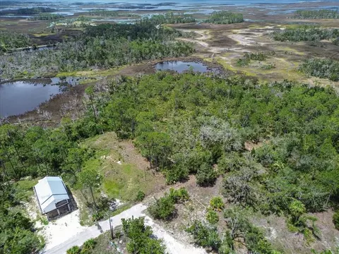 tbd SW 276 Ave, Steinhatchee, FL 32359 photo 7
