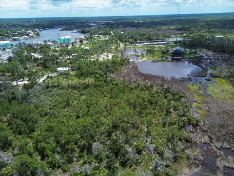 tbd SW 276 Ave, Steinhatchee, FL 32359 photo 3
