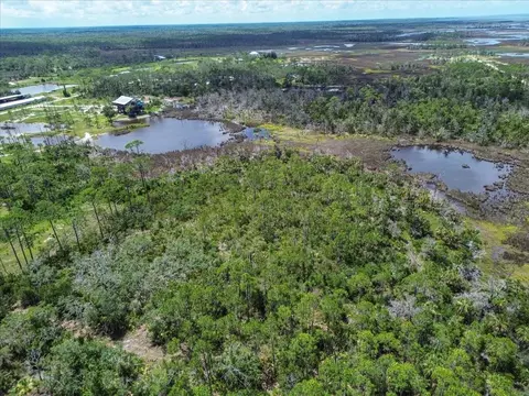 tbd SW 276 Ave, Steinhatchee, FL 32359 photo 2