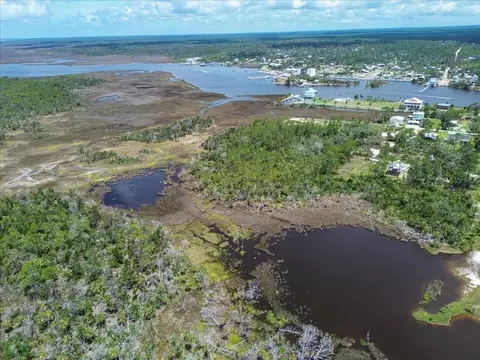tbd SW 276 Ave, Steinhatchee, FL 32359 photo 6