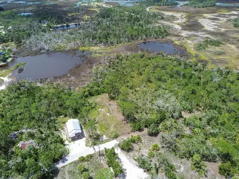 tbd SW 276 Ave, Steinhatchee, FL 32359 photo 8