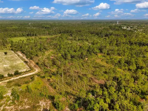 Lukayce Lane, Steinhatchee, FL 32359