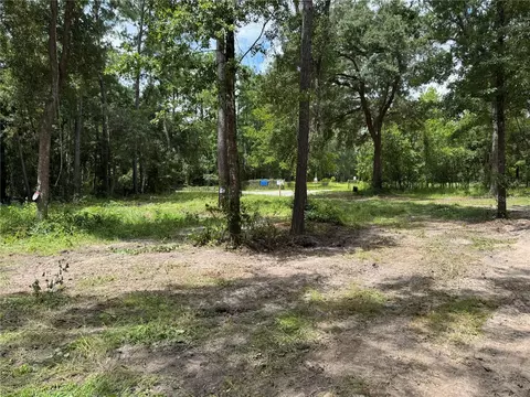 Tbd, Waldo, FL 32694 photo 6