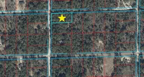 lot465 NE 95th Ave, Bronson, FL 32621