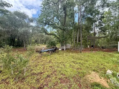 tbd NE 3rd Pl, Williston, FL 32696 photo 8