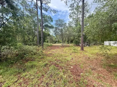 tbd NE 3rd Pl, Williston, FL 32696 photo 5
