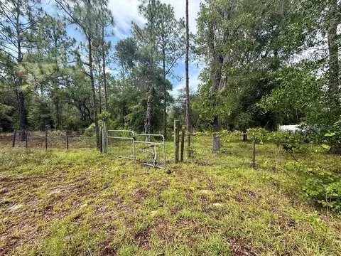 tbd NE 3rd Pl, Williston, FL 32696 photo 2