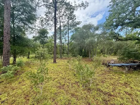 tbd NE 3rd Pl, Williston, FL 32696 photo 7